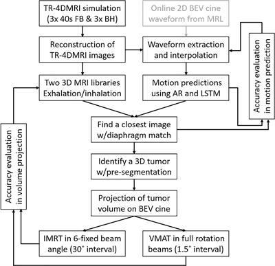 Real-Time 2D MR Cine From Beam Eye’s View With Tumor-Volume Projection to Ensure Beam-to-Tumor Conformality for MR-Guided Radiotherapy of Lung Cancer